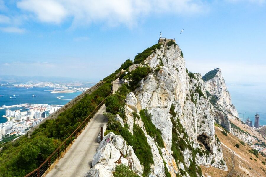 From Malaga: Day trip to Gibraltar and Dolphin Boat Tour - Guides, organization, and group timing