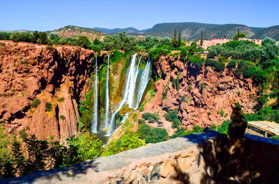 From Marrakech: Guided Ouzoud Waterfalls Tour with Boat Ride - Who will enjoy this day trip most