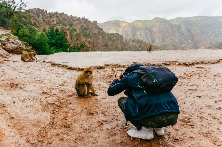 From Marrakech: Ouzoud Waterfalls Guided Hike and Boat Trip - Lunch Above the Waterfalls