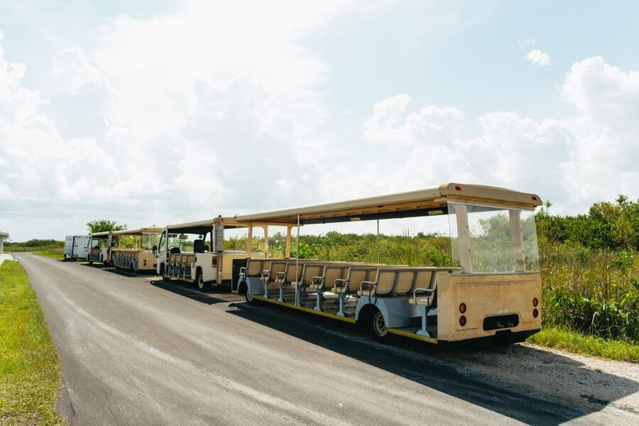 From Miami: Everglades Airboat Ride and Nature Walk - Hotel pickup from Miami and Fort Lauderdale