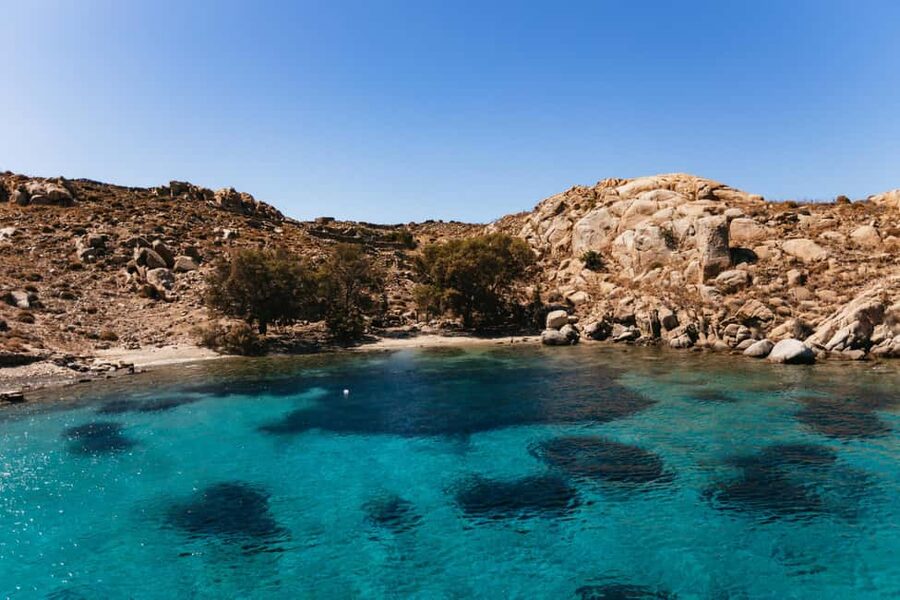 From Mykonos: Cruise to Delos and Rhenia with Lunch - Is the $103 price good value?