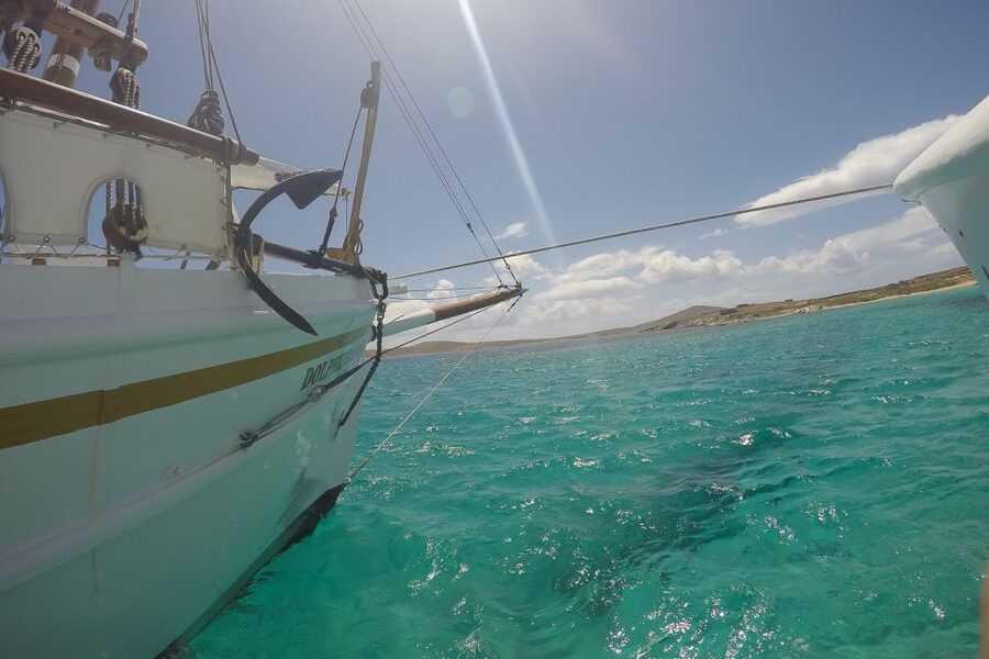 From Mykonos: Delos & Rhenia Islands Half-Day Trip by Boat - Rhenia: three hours for swimming and lunch