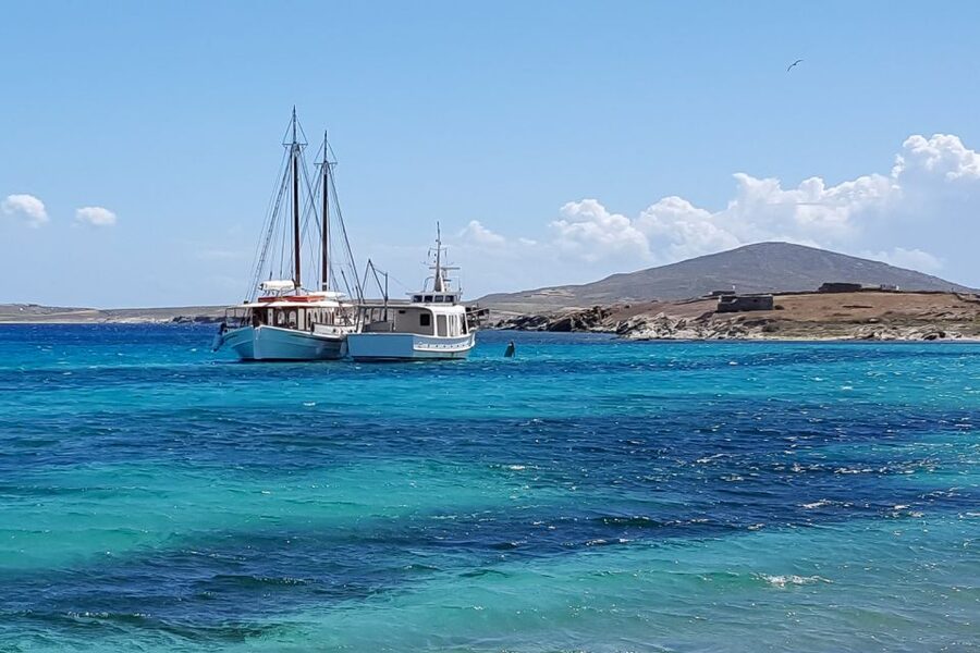 From Mykonos: Delos & Rhenia Islands Half-Day Trip by Boat - Delos and its two-hour walk through ancient Greece