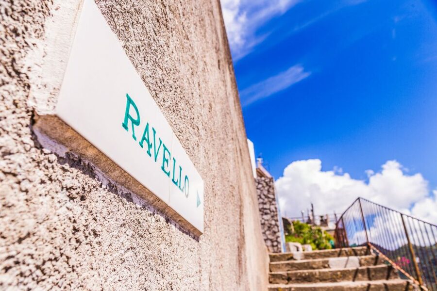 From Naples: Boat Tour of Amalfi, Positano and Ravello - Who should choose this day trip?