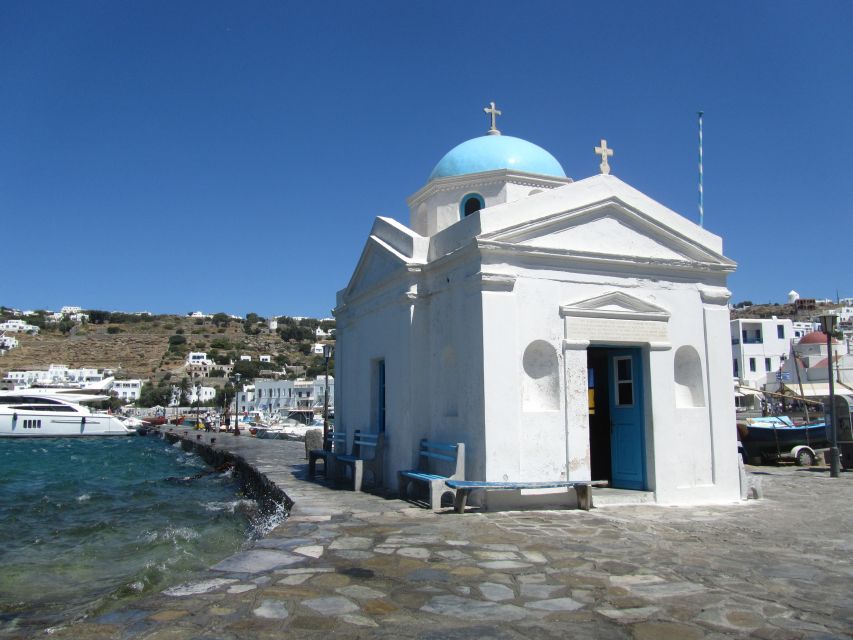 From Naxos: Delos and Mykonos Full-Day Boat Trip - Who should book this trip?