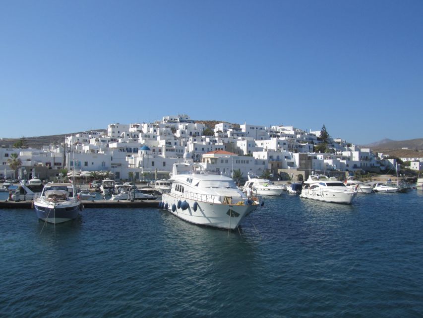 From Naxos: Delos and Mykonos Full-Day Boat Trip - Should you book the Delos and Mykonos day trip?