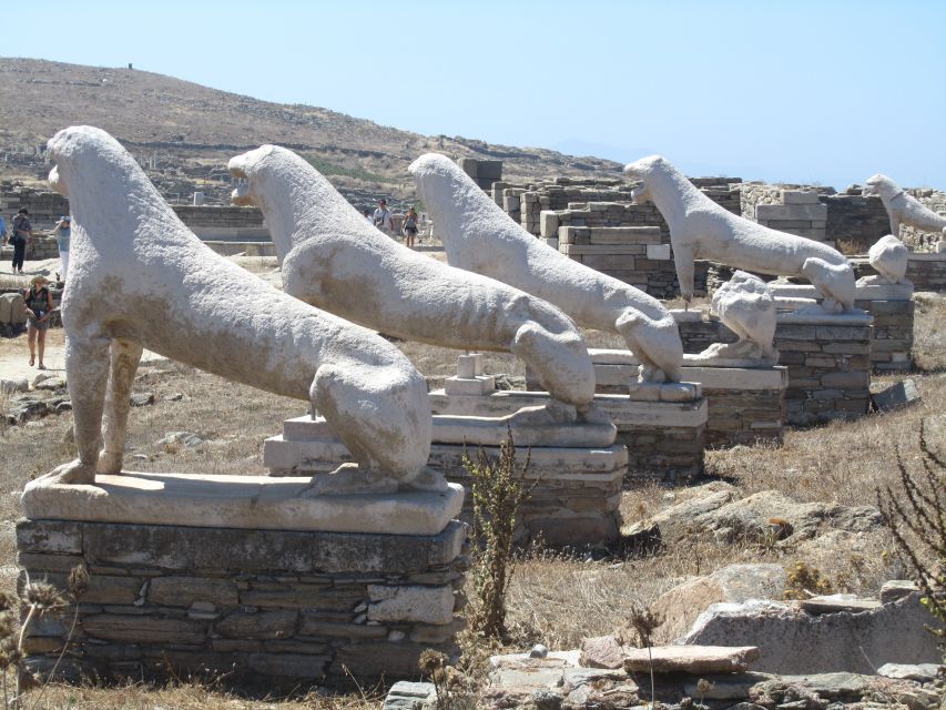 From Naxos: Delos and Mykonos Full-Day Boat Trip - The Delos visit: beautiful, hot, and lightly organized