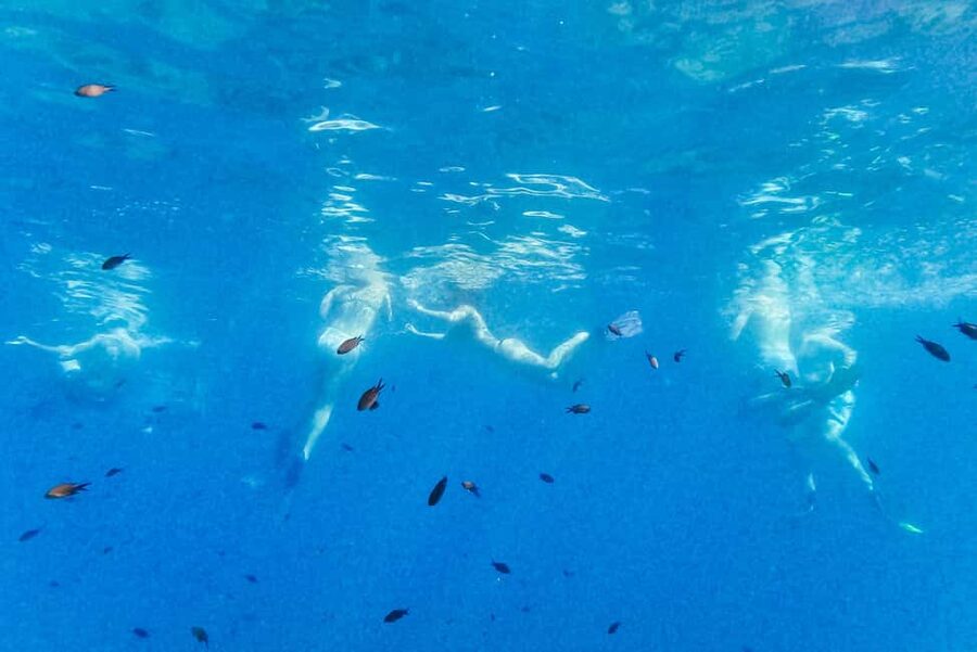 From Nice: French Riviera Swimming and Snorkeling Cruise - Villefranche Bay near Saint-Jean-Cap-Ferrat