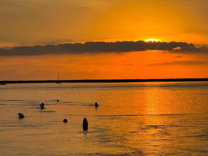 From Olhão: Ria Formosa Sunset Island Boat Tour - Who should book this experience?