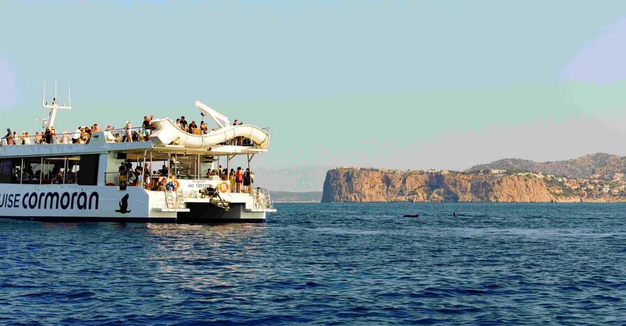 From Paguera: Dolphin Watching Cruise in a Glass-Bottom Boat - Choosing between the 1.5-hour and 2-hour trips