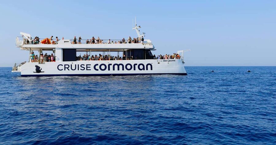 From Paguera: Dolphin Watching Cruise in a Glass-Bottom Boat - A relaxed boat atmosphere, with food and sangria