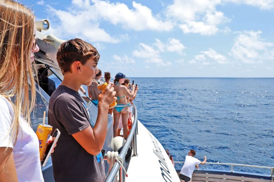 From Paguera: Dolphin Watching Cruise in a Glass-Bottom Boat - Who will enjoy this cruise most?