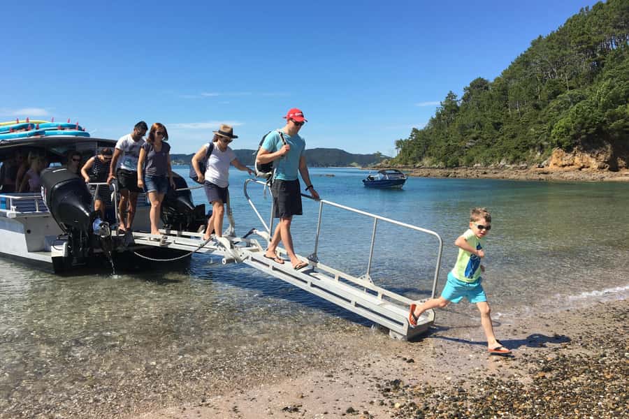 From Paihia: Scenic Cruise with Roberton Island Stopover - Key points to know before booking