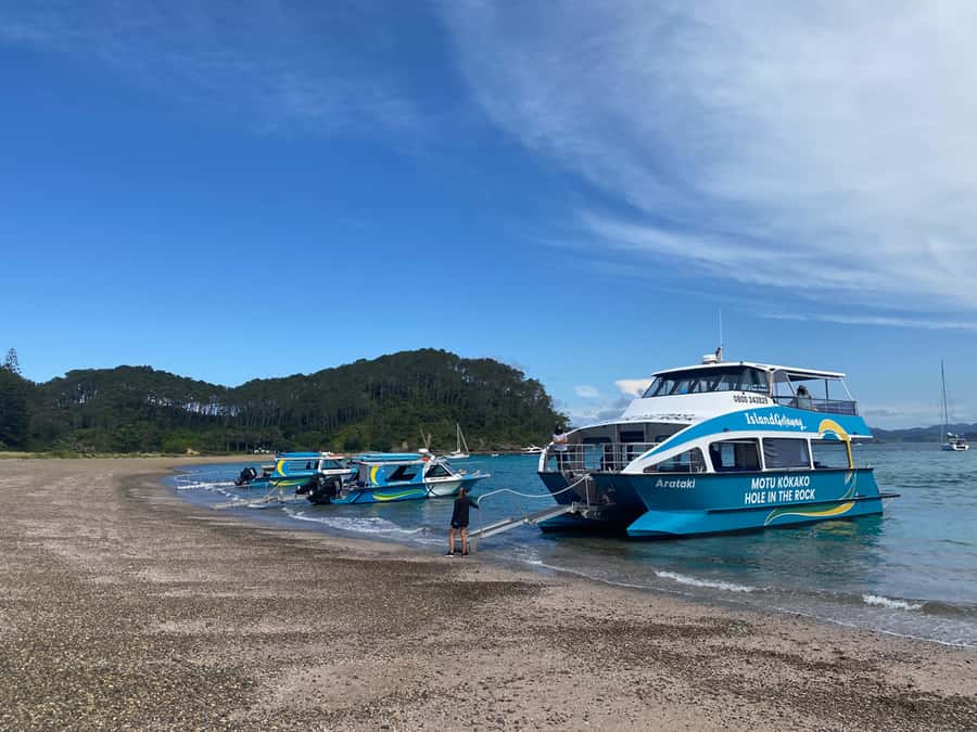 From Paihia: Scenic Cruise with Roberton Island Stopover - Who should book this Bay of Islands cruise?