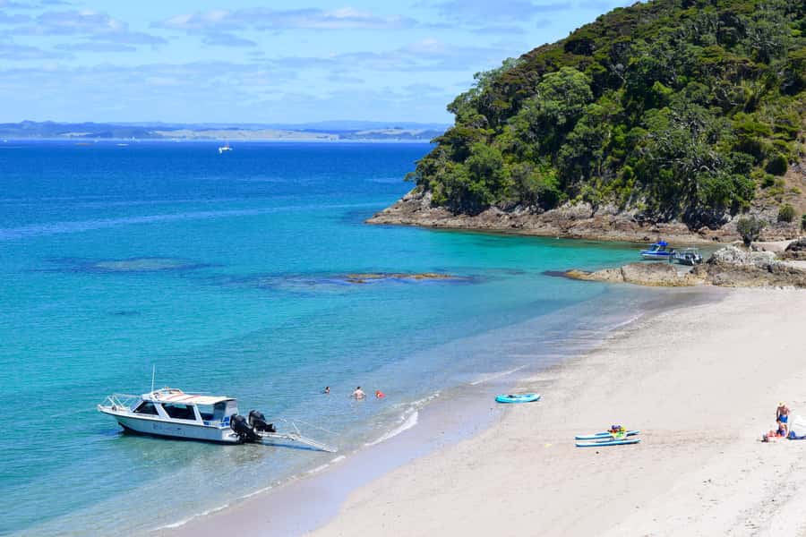 From Paihia: Scenic Cruise with Roberton Island Stopover - Why this three-hour cruise works so well