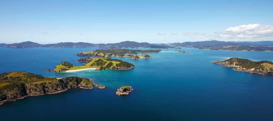 From Paihia: Scenic Cruise with Roberton Island Stopover - Cruising toward Motukokako Island