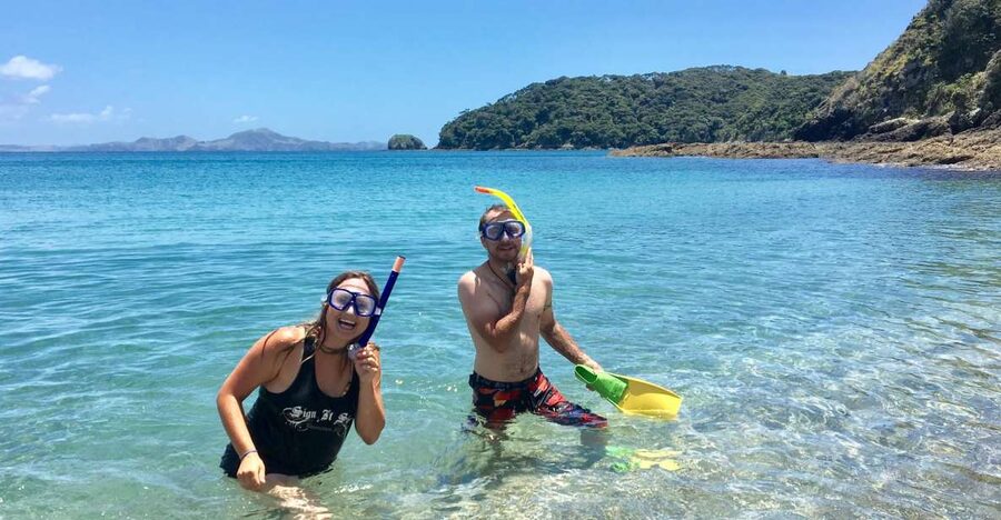 From Paihia: Scenic Cruise with Roberton Island Stopover - Swimming, snorkeling, and paddleboarding