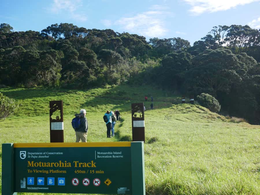 From Paihia: Scenic Cruise with Roberton Island Stopover - Is $78 good value?