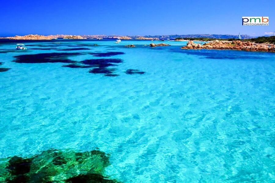 From Palau: La Maddalena Archipelago Day Tour by Boat - Pink Beach: a short view of a protected icon