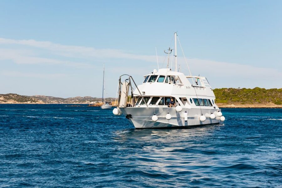 From Palau: La Maddalena Islands Full-Day Trip by Boat - Budelli and the famous pink beach