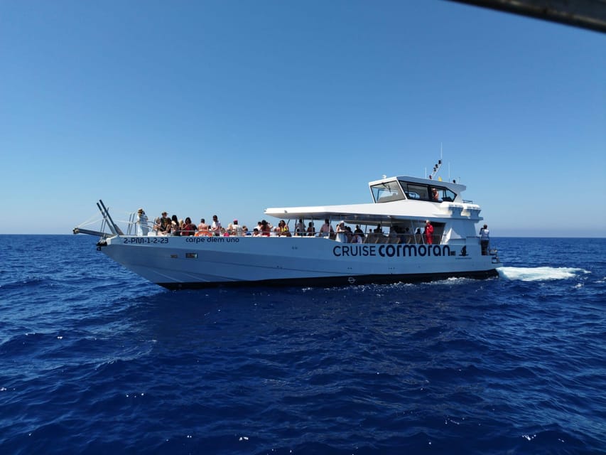 From Palma: 3-Hour Morning Dolphin Watching Boat Tour - Setting out from Palma at 10:30