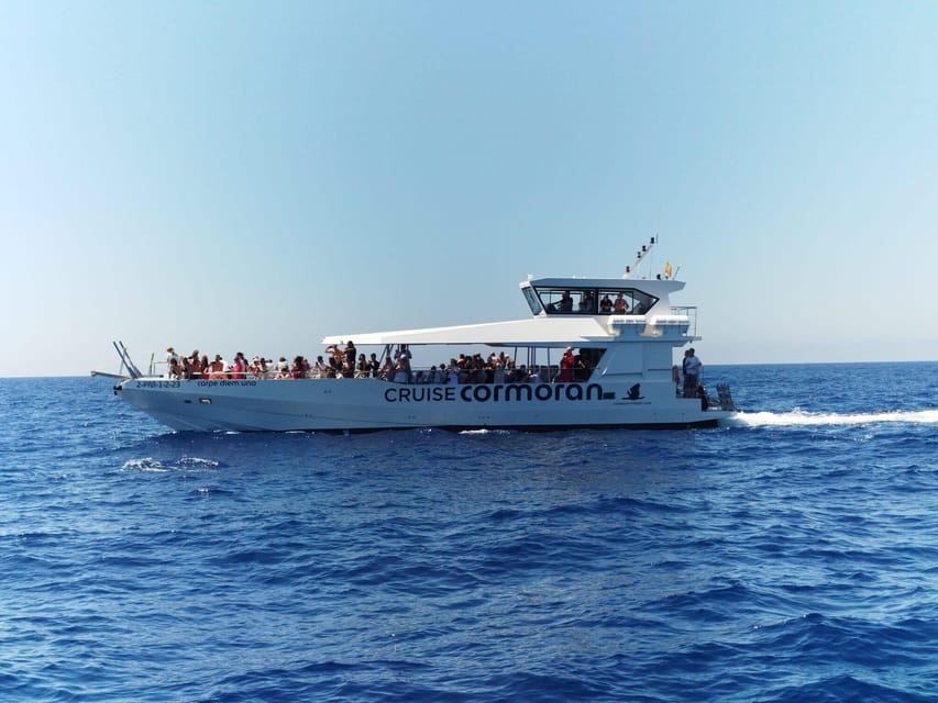 From Palma: 3-Hour Morning Dolphin Watching Boat Tour - Searching for dolphins in open water