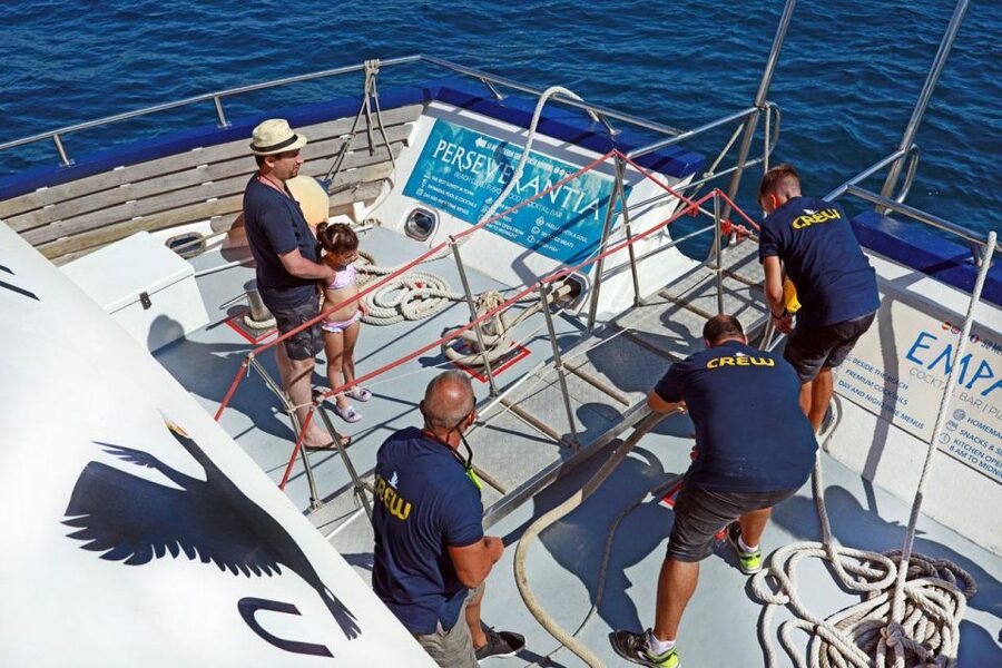 From Palma: 3-Hour Morning Dolphin Watching Boat Tour - A swim stop in a clear-water cove