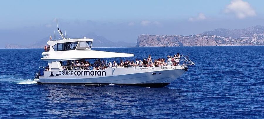 From Palma: 3-Hour Morning Dolphin Watching Boat Tour - Practical advice for a smoother morning