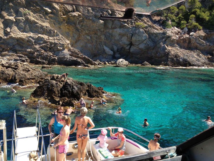 From Palma: 3-Hour Morning Dolphin Watching Boat Tour - What the Carpe Diem boat offers