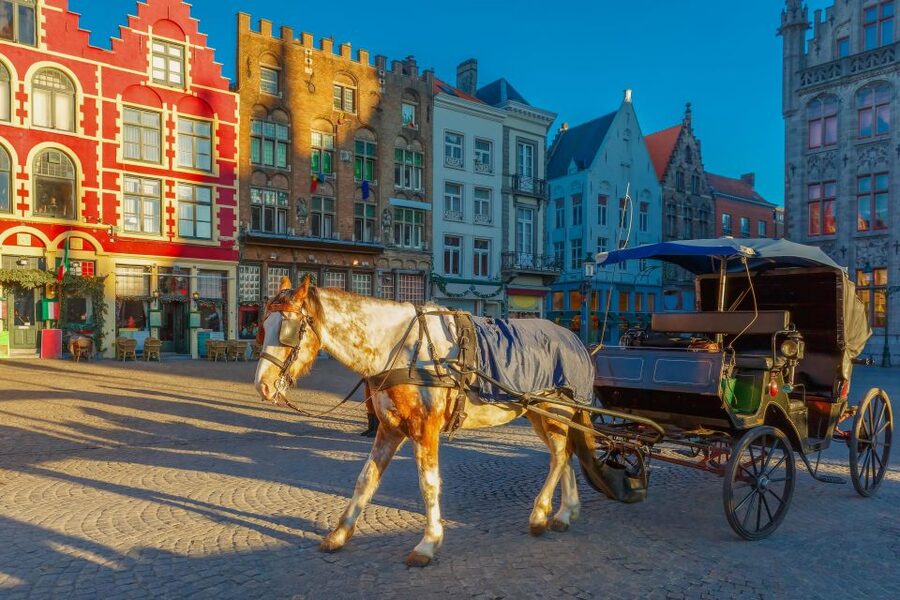From Paris: Day Trip to Bruges with Optional Seasonal Cruise - The coach journey from Paris to Bruges
