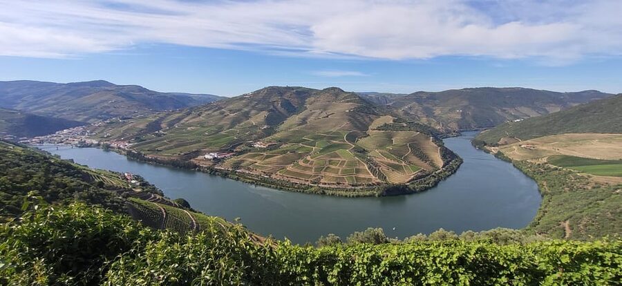 From Pinhão: Douro Valley Tour w/ Wine Tasting and Boat Trip - A 50-minute cruise through the Douro Valley