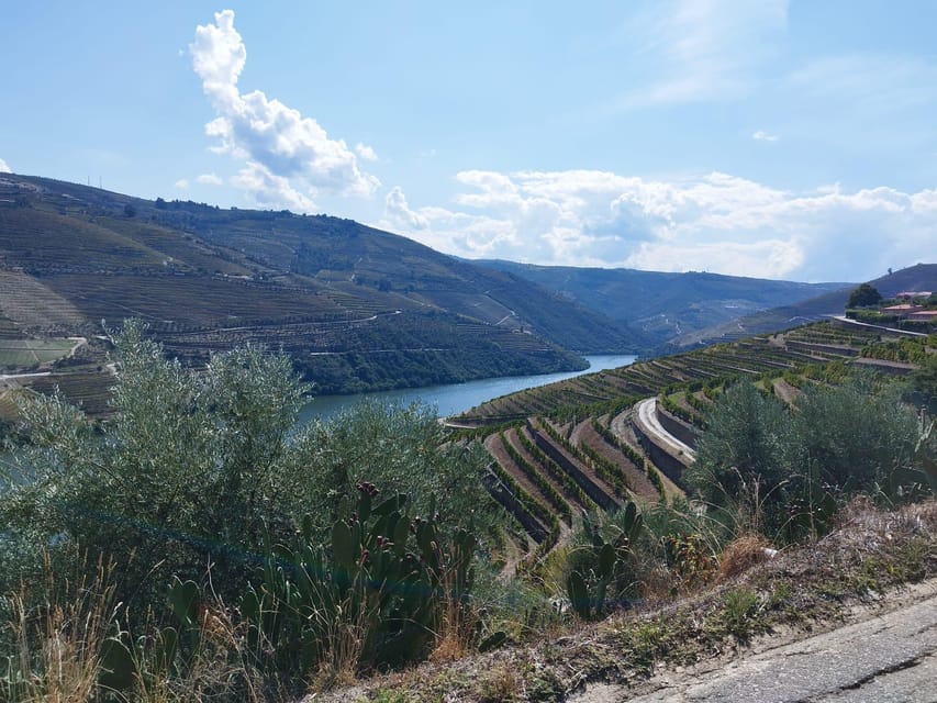 From Pinhão: Douro Valley Tour w/ Wine Tasting and Boat Trip - Winery time: about 90 minutes among the vines