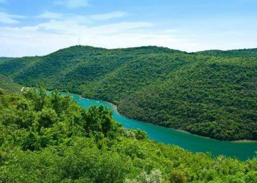 From Poreč: Lim Fjord, Rovinj, and Vrsar Boat Trip - Who should book this trip?
