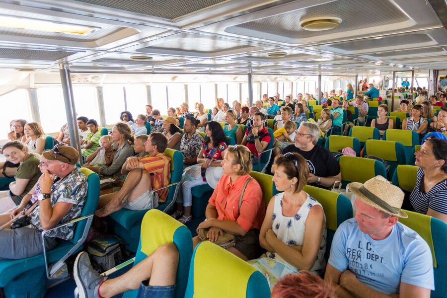 From Porec: Venice Catamaran Crossing One-Way or Round-Trip - Luggage, bicycles, pets, and mobility