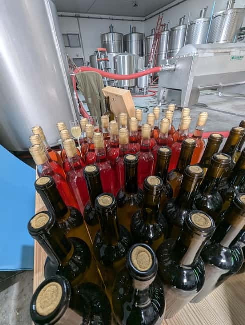 From Porto: 2 Wine Regions, Farm-to-Table Lunch & Boat - Is this $94 experience worth booking?