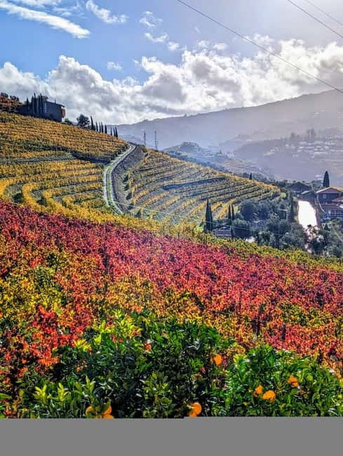 From Porto: 2 Wine Regions, Farm-to-Table Lunch & Boat - A farm-to-table meal with Douro views