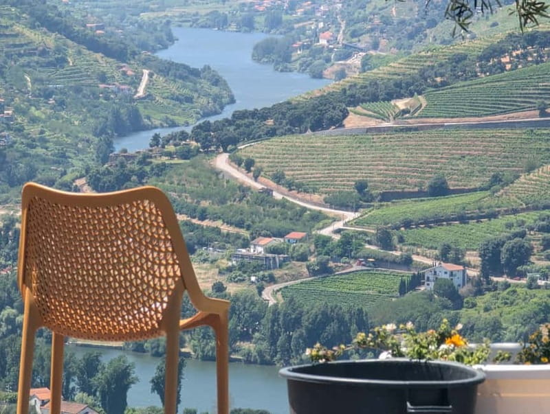 From Porto: 2 Wine Regions, Farm-to-Table Lunch & Boat - The guides make or break a long day