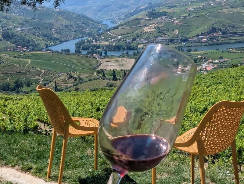 From Porto: 2 Wine Regions, Farm-to-Table Lunch & Boat - Timing, comfort, and who should book