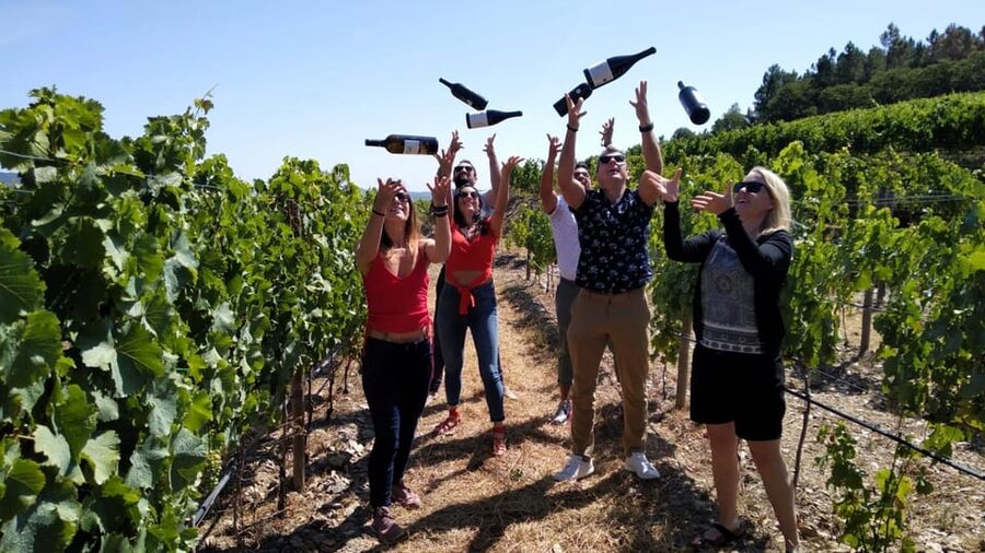 From Porto: Douro Valley Tour with Tastings, Boat & Lunch - Key points to know before booking