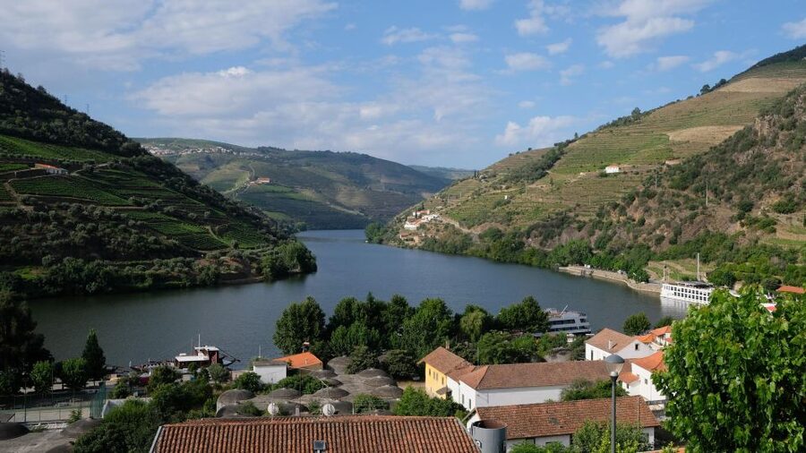 From Porto: Douro Valley Tour with Tastings, Boat & Lunch - A comfortable van, but no room for large bags