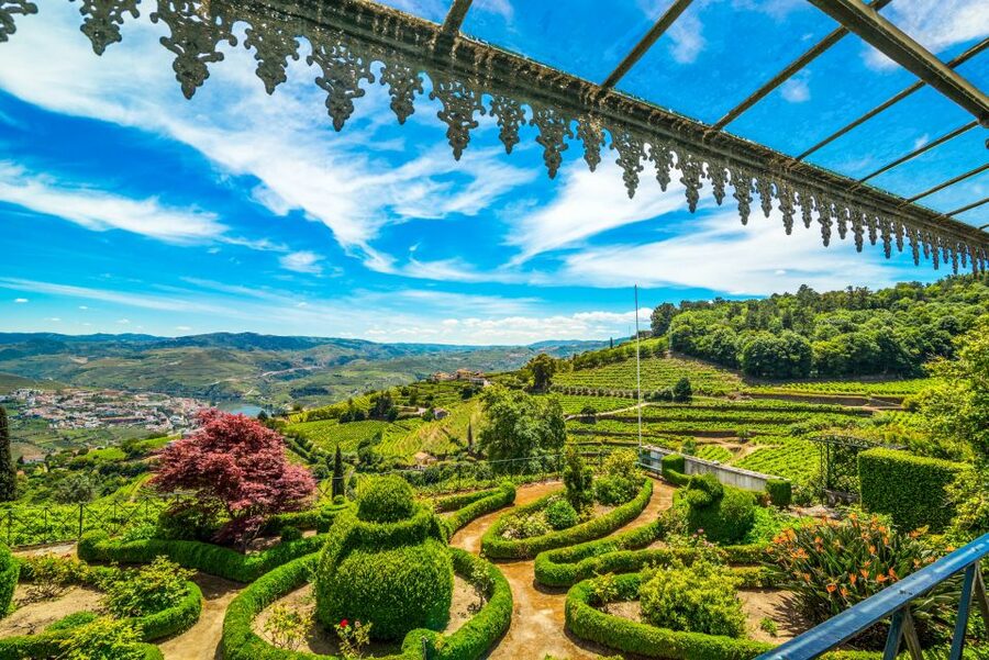 From Porto: Douro Valley w/ Boat Tour, Wine Tasting & Lunch - The famous N222 and the road to Pinhão