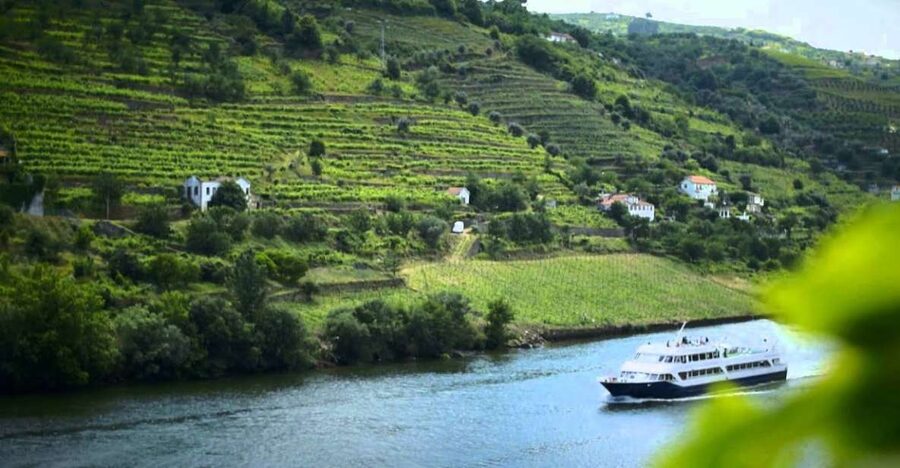 From Porto: Régua to Porto River Cruise with Lunch on Board - Six hours aboard the boat