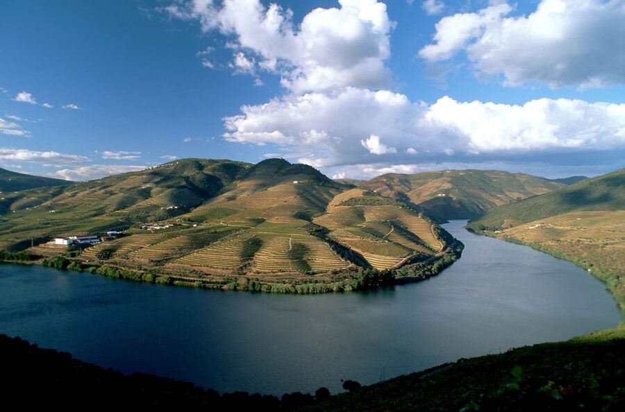 From Porto: Régua to Porto River Cruise with Lunch on Board - Lunch, wine, and service on board