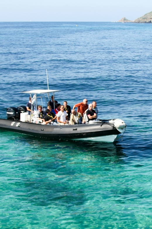 From Porto: Scandola and Calanche de Piana Boat Tour - A 15-minute swimming stop in clear water