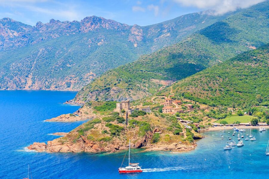 From Porto: Scandola & Girolata Tour by Boat - The Gulf of Porto return ride