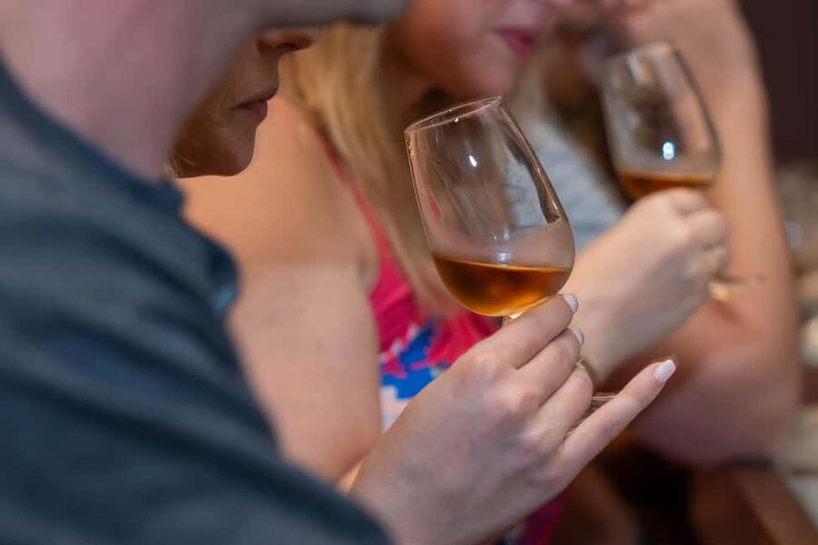 From Porto: Small Group Douro Valley Tour with Wine & Cruise - The Second Winery and A More Relaxed Finish