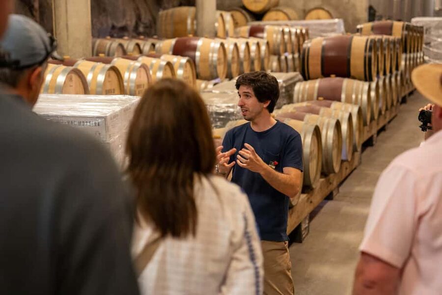 From Porto: Small Group Douro Valley Tour with Wine & Cruise - Who Will Enjoy This Tour Most?