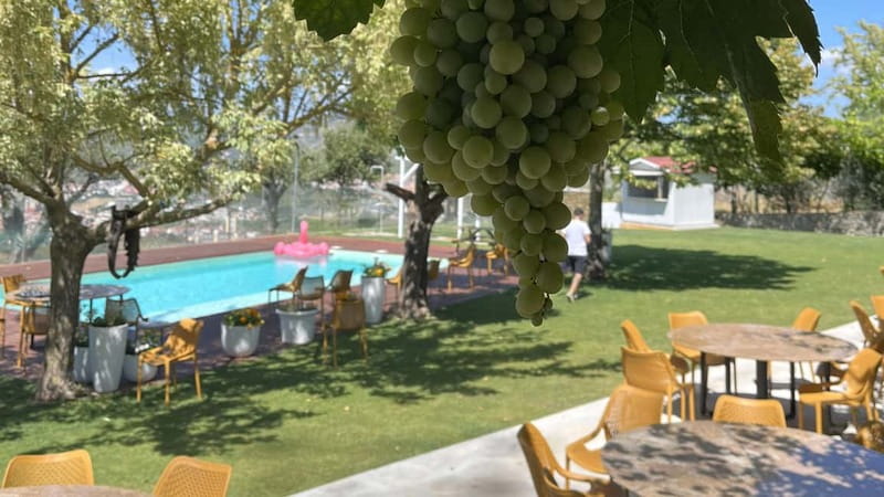 From Porto: Tastings at 2 Wineries, Chef's Lunch & Boat Tour - Price and value at $134