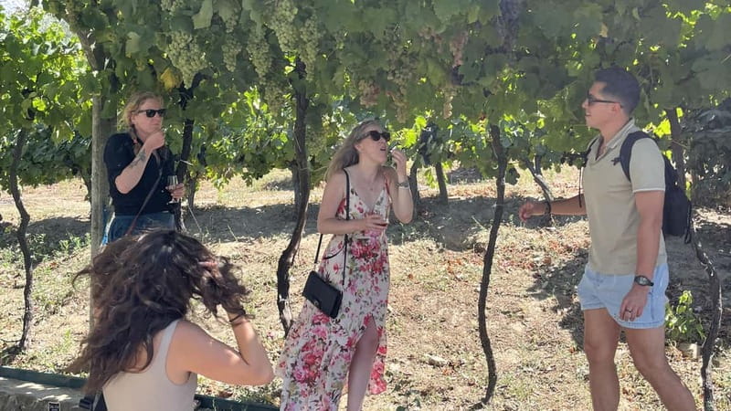 From Porto: Tastings at 2 Wineries, Chef's Lunch & Boat Tour - Who should book this Douro day?