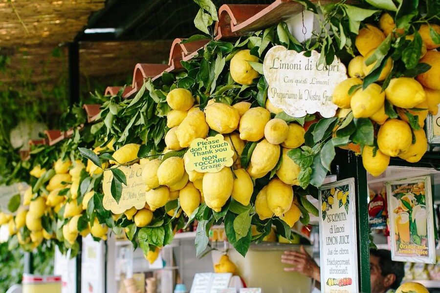 From Positano: Sorrento Coast & Capri Full-Day Trip by Boat - Who should book this Capri excursion?